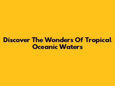 Discover The Wonders Of Tropical Oceanic Waters