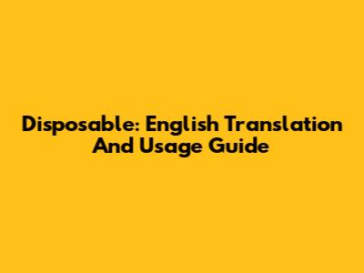 Disposable: English Translation And Usage Guide