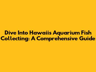 Dive Into Hawaii's Aquarium Fish Collecting: A Comprehensive Guide