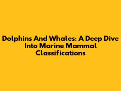 Dolphins And Whales: A Deep Dive Into Marine Mammal Classifications