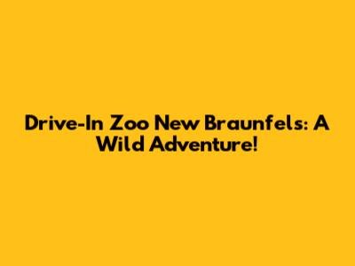 Drive-In Zoo New Braunfels: A Wild Adventure!