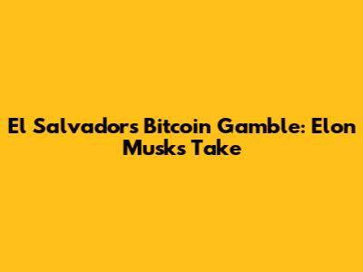 El Salvador's Bitcoin Gamble: Elon Musk's Take
