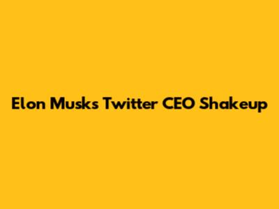 Elon Musk's Twitter CEO Shakeup