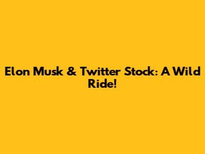 Elon Musk & Twitter Stock: A Wild Ride!