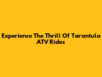 Experience The Thrill Of Tarantula ATV Rides