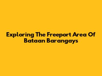 Exploring The Freeport Area Of Bataan Barangays