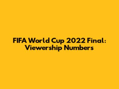 FIFA World Cup 2022 Final: Viewership Numbers