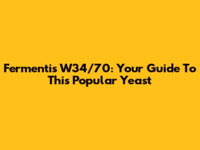 Fermentis W34/70: Your Guide To This Popular Yeast