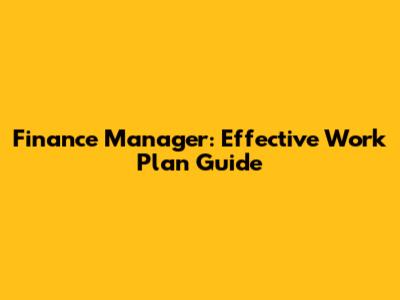 Finance Manager: Effective Work Plan Guide
