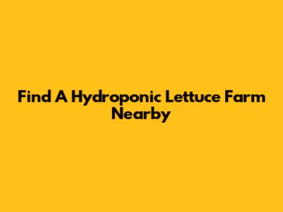 Find A Hydroponic Lettuce Farm Nearby