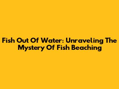 Fish Out Of Water: Unraveling The Mystery Of Fish Beaching