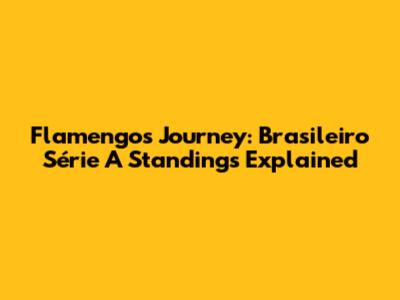 Flamengo's Journey: Brasileiro Série A Standings Explained