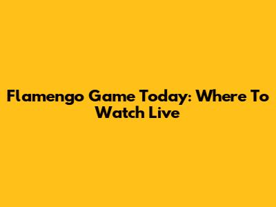 Flamengo Game Today: Where To Watch Live