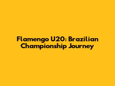 Flamengo U20: Brazilian Championship Journey