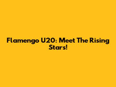 Flamengo U20: Meet The Rising Stars!