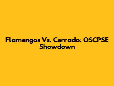 Flamengos Vs. Cerrado: OSCPSE Showdown