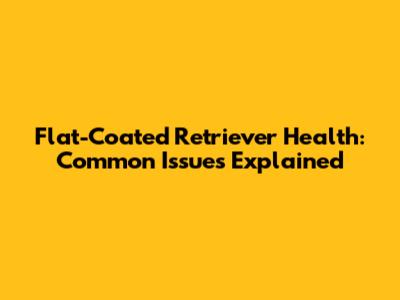 Flat-Coated Retriever Health: Common Issues Explained