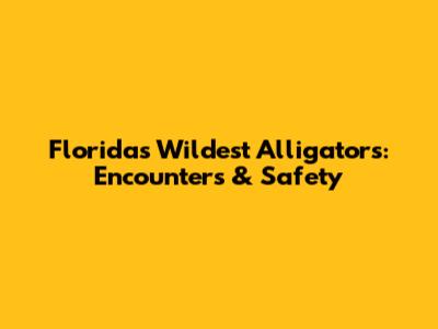 Florida's Wildest Alligators: Encounters & Safety