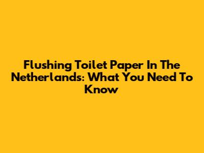 Flushing Toilet Paper In The Netherlands: What You Need To Know