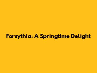 Forsythia: A Springtime Delight