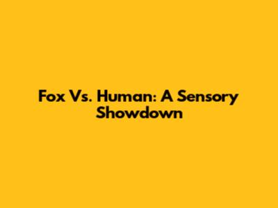 Fox Vs. Human: A Sensory Showdown