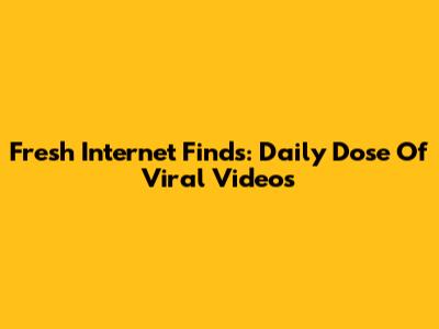Fresh Internet Finds: Daily Dose Of Viral Videos