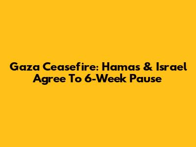 Gaza Ceasefire: Hamas & Israel Agree To 6-Week Pause