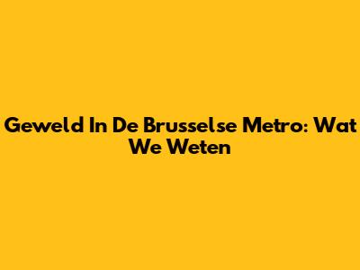 Geweld In De Brusselse Metro: Wat We Weten