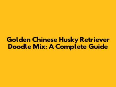 Golden Chinese Husky Retriever Doodle Mix: A Complete Guide