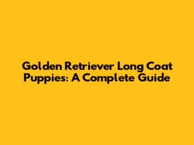 Golden Retriever Long Coat Puppies: A Complete Guide