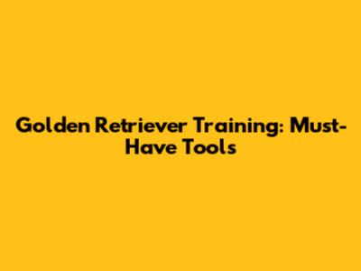 Golden Retriever Training: Must-Have Tools