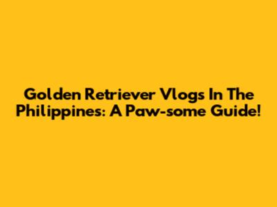 Golden Retriever Vlogs In The Philippines: A Paw-some Guide!
