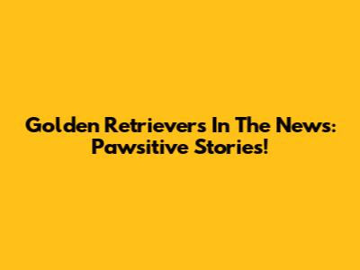 Golden Retrievers In The News: Pawsitive Stories!