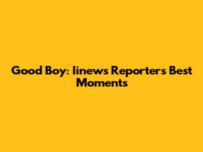 Good Boy: Iinews Reporter's Best Moments