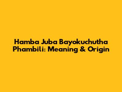 Hamba Juba Bayokuchutha Phambili: Meaning & Origin
