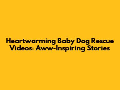 Heartwarming Baby Dog Rescue Videos: Aww-Inspiring Stories