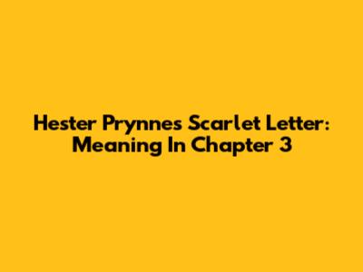 Hester Prynne's Scarlet Letter: Meaning In Chapter 3