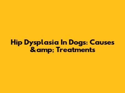 Hip Dysplasia In Dogs: Causes &amp; Treatments