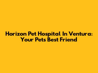 Horizon Pet Hospital In Ventura: Your Pet's Best Friend