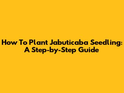 How To Plant Jabuticaba Seedling: A Step-by-Step Guide