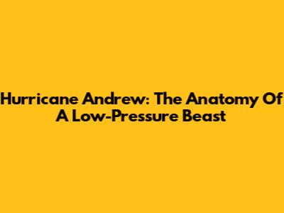 Hurricane Andrew: The Anatomy Of A Low-Pressure Beast
