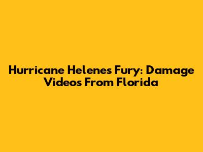 Hurricane Helene's Fury: Damage Videos From Florida