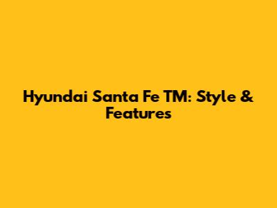 Hyundai Santa Fe TM: Style & Features