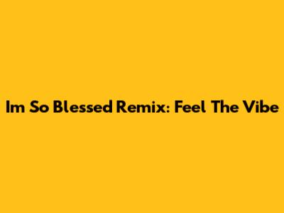 I'm So Blessed Remix: Feel The Vibe