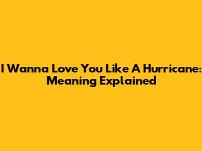 I Wanna Love You Like A Hurricane: Meaning Explained