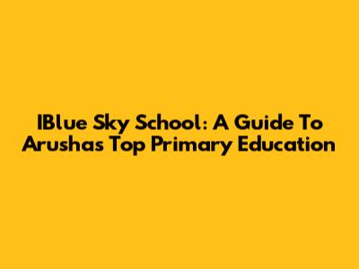 IBlue Sky School: A Guide To Arusha's Top Primary Education