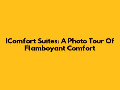 IComfort Suites: A Photo Tour Of Flamboyant Comfort