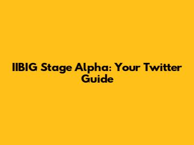 IIBIG Stage Alpha: Your Twitter Guide