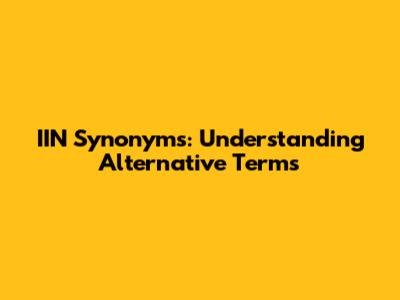 IIN Synonyms: Understanding Alternative Terms
