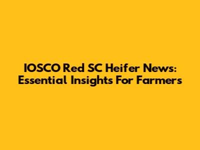 IOSCO Red SC Heifer News: Essential Insights For Farmers